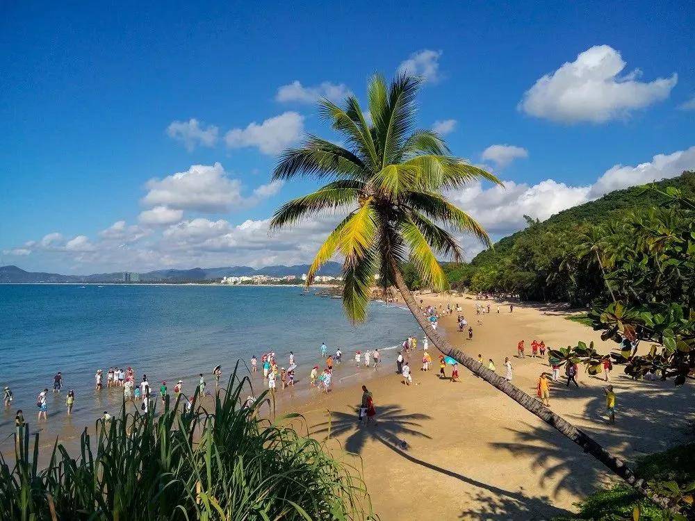 南海翡翠中的岁月诗篇——海南风情散文记