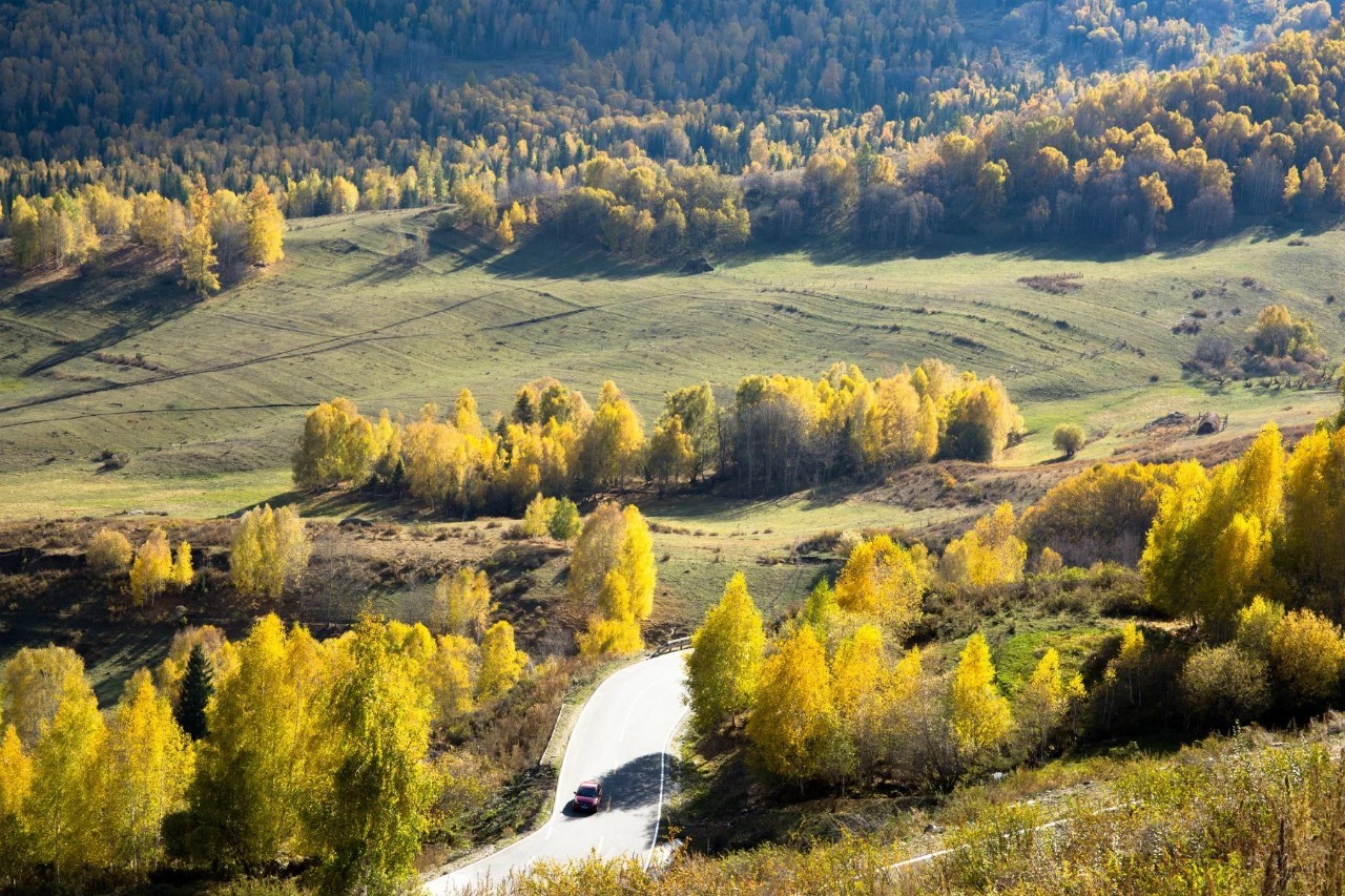 新疆盛邀，尊敬的领导与朋友们共聚盛会